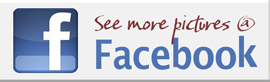 Find us on Facebook