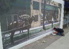 Wall Murals